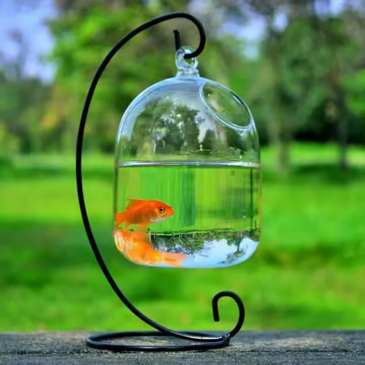 Acuario De Vidrio Colgante Para Peces Tangara Forma Redonda/Cuadrada Translúcida Con Soporte De Estante Decoración Para El Hogar - 1