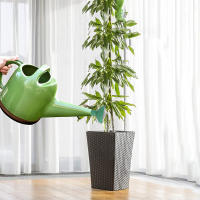 Cabeza De Rosa Para Botella De Riego Jardín Universal Repuesto Para Aspersor Herramienta De Riego Del Jardín 1/2pcs - details 7