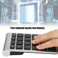 Teclado Numérico RF304 22 Teclas Mini Teclado Inalámbrico USB 2.4G Con Receptor Para Laptop ABS Capacidad De Teclas 3 Millones - details 6