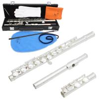 FLUTE SLADE De Plata Con 16 Agujeros Clave Cerrada Echa El E Teclado Para Principiantes Con Kit De Limpieza Estuche Guantes Y Varillas De Ajuste - details 0
