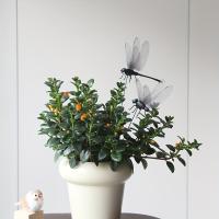 4pcs Palos De Jardín Con Libélula Decoración De Jardín De Plástico Para Halloween Decoración De Otoño Decoración De Agradecimiento - details 8