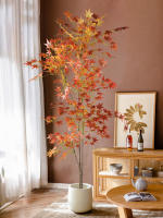 Árbol De Maple Artificial 70-140cm Hojas De Cola De Pollo De Seda Planta Japonesa Falsa Para Decoración De Jardín Y Habitaciones - details 5