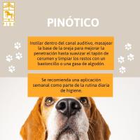 PINÓTICO PERROS limpieza de oído externo de Laboratorios Pino. Envase de 125ml. - details 1