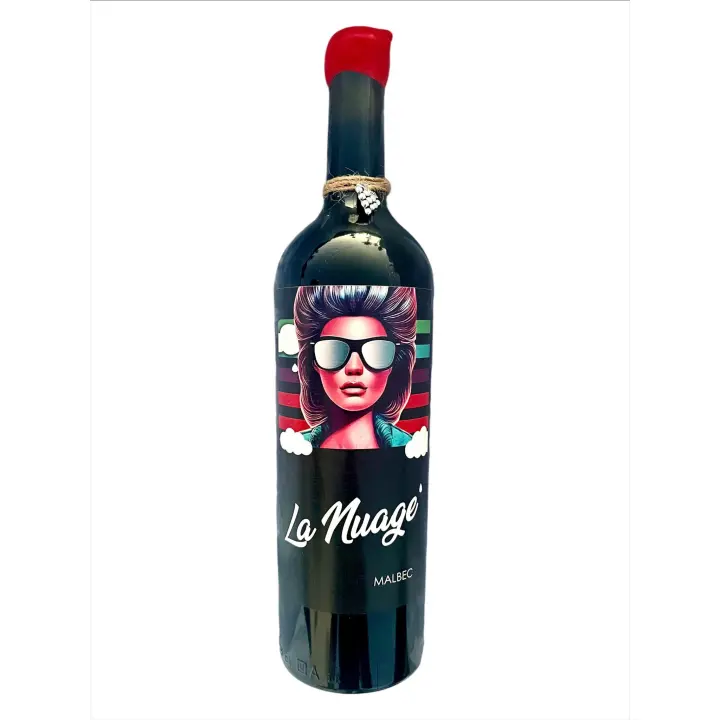 Vino tinto Anelis, de Mendoza, Argentina 100% uva Malbec 6 meses en barrica de roble frances - 1