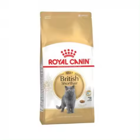Royal Canin Gato British Shorthair 2 Kg - 1