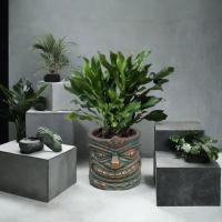 Vaso De Resina Decorativo Con Boca Grande Estilo Totem Divertido Origen China Ornamento De Flor Para Jardín Y Patio - details 3