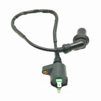 Sistema De Bobina De Encendido Para Motocicleta GY6 50 60 80 100 125 150CC Para ATV Quad Pit Bike Scooter Moped Motocross 12V - details 1