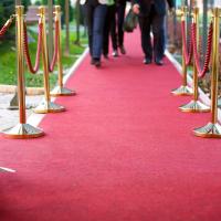 ALFOMBRAS IBERIA  Alfombra Roja  Moqueta por Metros  Perfecta para Decoracion Pasillo, Bodas, Eventos  Moqueta Ferial disponible en Varias Medidas - details 0