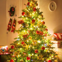 Guirnalda De Luces De Navidad 5M/10M Iluminación Exterior E Interior Para Jardín Casa Árbol Boda Decoración Con Pilas Incluidas - details 3
