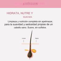 Alfaparf semi di lino Champú Nutritive Shampoo 250Ml - details 1