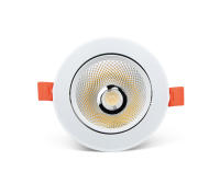 Lámpara De Techo Recargada LED COB 7W 12W 15W 18W 110V/220V Spot Luz De Enfoque Para Iluminación Interior Dormitorio Cocina Habitación - details 9