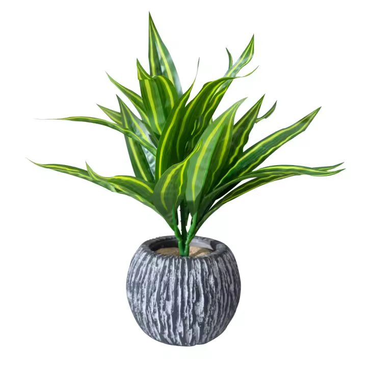 Hojas De Aloe Vera Artificiales 36cm Plástico Agave Falso Chlorophytum Comosum Para Decoración De Jardín Y Festivales - 1