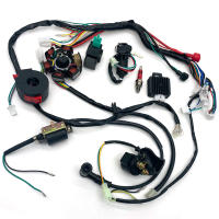 Ensamblaje Completo De Electrónica Para Motocicleta CDI Estator 6 Bobina Para ATV Quad Pit Bike Buggy Go Kart 50cc 70cc 110cc 125cc - details 2
