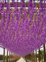 12pcs Guirnalda De Flores Artificiales De Wisteria Colgante Vinatera De Seda Para Decoración De Hogar Y Bodas Exterior - details 4