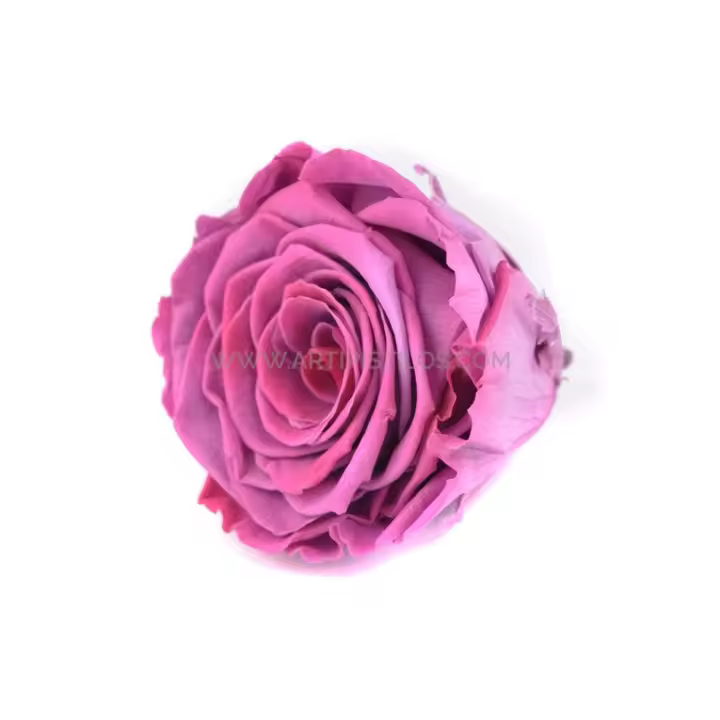 Rosa Estabilizada Vermeille 6cm - Ofertas Flores y Decoración - 1