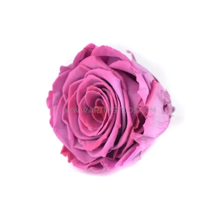 Rosa Estabilizada Vermeille 6cm - Ofertas Flores y Decoración - 1