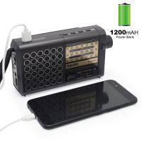 Radio Solar Recargable AM FM Con Conexión De Teléfono Y Altavoz Euler Band Radio Portátil Con Pantalla De Plástico - details 4