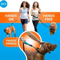 Correa Retráctil Reflectante Y Elástica Doble Para Perros Correa Portátil Para Running Correa De Cadena Para Mascotas Suministros Al Por Mayor - details 5