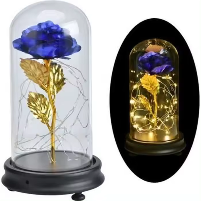 The Rose Eterna y La Luz LED - 1