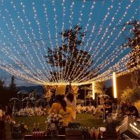 Guirnalda De Navidad LED Con Enchufe EU 10/20M Para Árbol De Navidad Fiesta Bodas Año Nuevo Luces De Fiestas Exterior - details 5