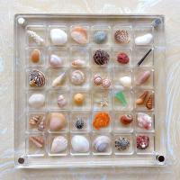 Caja De Exhibición De Conchas Magnéticas Acrílicas Con 36 Cuentas Caja De Almacenamiento Para Joyería Y Uñas Organizador De Contenedor Transparente Moderno - details 18