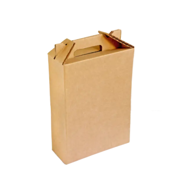 PACK 10 Caja para 3 Botellas de Vino 26x8x31cm - 1