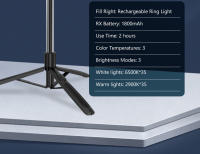 Palo Selfie Con Luz De Anillo De 8 Pulgadas Trípode Plegable De 1680mm Con Lámpara Recargable Bluetooth Sin Cable Para Smartphone iOS Android - details 30