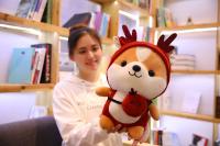 Muñeco De Peluche De 25cm Squirrel Shiba Inu Perro Corgi Cojín Suave Para Niños Regalo De Navidad Kawaii Valentin - details 21