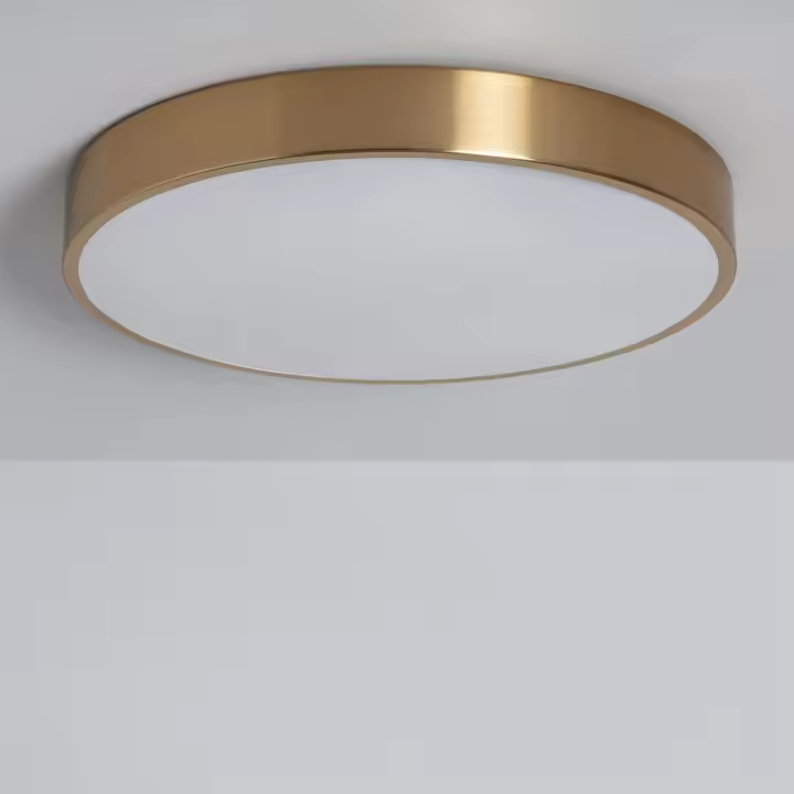 Ledkia Plafón LED 18W Circular Metal Ø300 mm CCT Seleccionable Haydn - 1