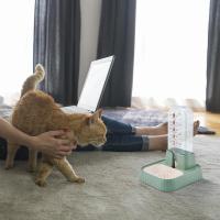 Dispensador Automático De Agua Para Gatos Con Filtro Y Capacidad Grande Bowl De Agua Desmontable Para Perros Y Gatos - details 3