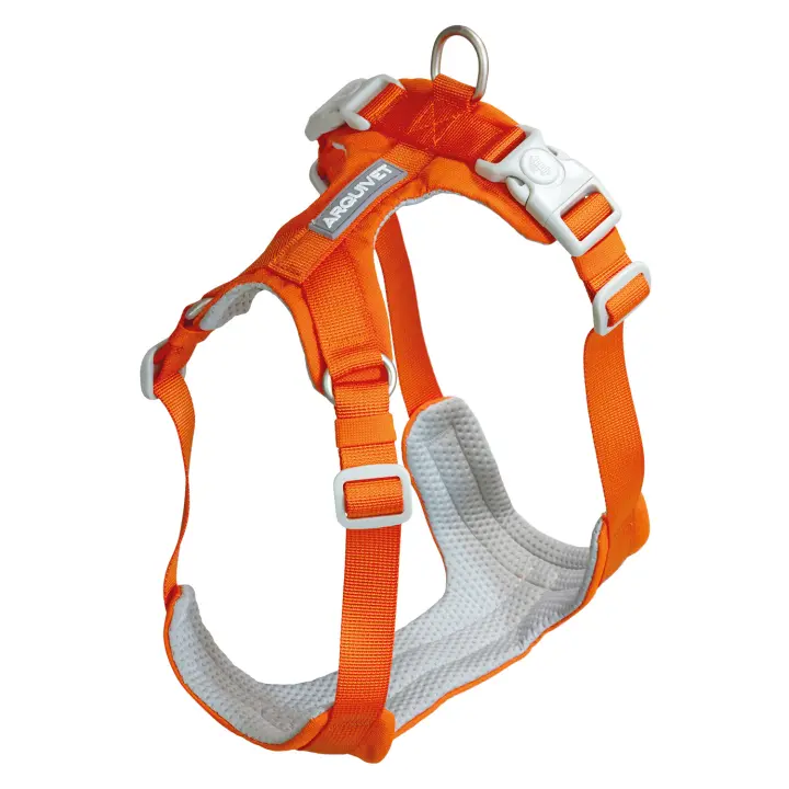 Arnés para Perro ROMA Naranja S (40-49cm) - 1
