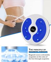 Giratory Disc para La Giro, Giratory Disc para advazar La Giro, multiculonal tabla giratoria para ejercicio con - details 3