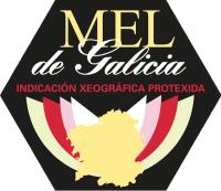 Miel de Galicia NATURAL ARTESANA CRUDA PURA 100% CONDE SANTO ESPAÑA PURA ABEJA (DA MARIÑA, 1 KG) - details 1