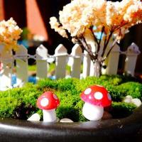 Miniaturas De Setas Para Jardín Faeérico Miniaturas De Resina Para Decoración De Terrarios Y Artesanía Estilo Pastoral - details 7