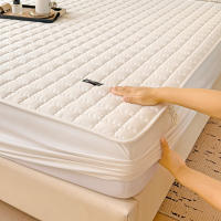 Protector De Sábanas Impermeable Con Cama Durable Antialérgico No Esmerilado Tamaño Ajustable 150/160x200 Anti-Polvo Y Anti-Rasguños - details 12