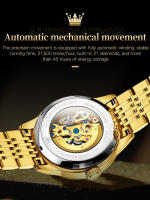 Reloj De Pulsera Mecánico Para Hombre OLEVS Lujo Oro Esqueleto Automático Resistente Al Agua Acero Inoxidable Luminoso Negocios - details 6