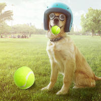 SMELL & SMILE Pelotas de Tenis de Entrenamiento para Jugar Pelotas de Tenis para Perros 6.35cm Ideales para Lanzador de Pelotas 3PCS - details 0