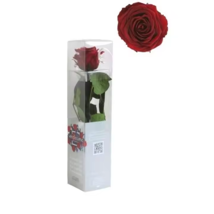 Rosa Preservada Ideal para Regalar en Ocasión Especial - 1