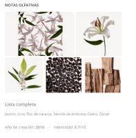 BEAUTY edp vaporizador 100 ml - details 1