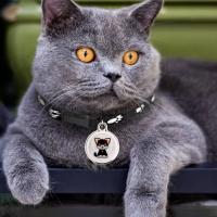 Rastreador GPS Antipérdida Bluetooth Para Mascotas Y Bricos Localizador Inteligente Para Perros Gatos Niños Llaveros Maletas - details 4
