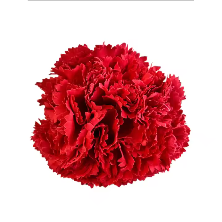 Corona de claveles para flamencas CLAVEL 4 - 1