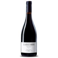 Nuevos Vinos - Rafael Cambra Casalabor Vino Tinto de Valencia 100% Arcos - details 0