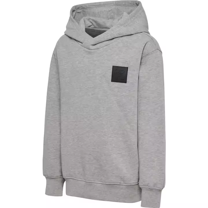 Hummel Sudadera Con Capucha Clean Gris Unisex Niños - 1