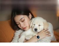 Reloj Inteligente OPPO Watch X2 Mini Con Pantalla AMOLED HD 4GB Memoria Bluetooth Red Comunicación APP Tienda Chat GPT Inteligencia Artificial Para Hombres Y Mujeres - details 7