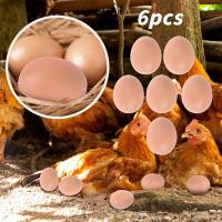 6pcs Huevos De Plástico Para Casa De Pollo Pequeños Accesorios Para Jaulas De Animales De Granja Suministros De Cerdos Y Peces - details 0