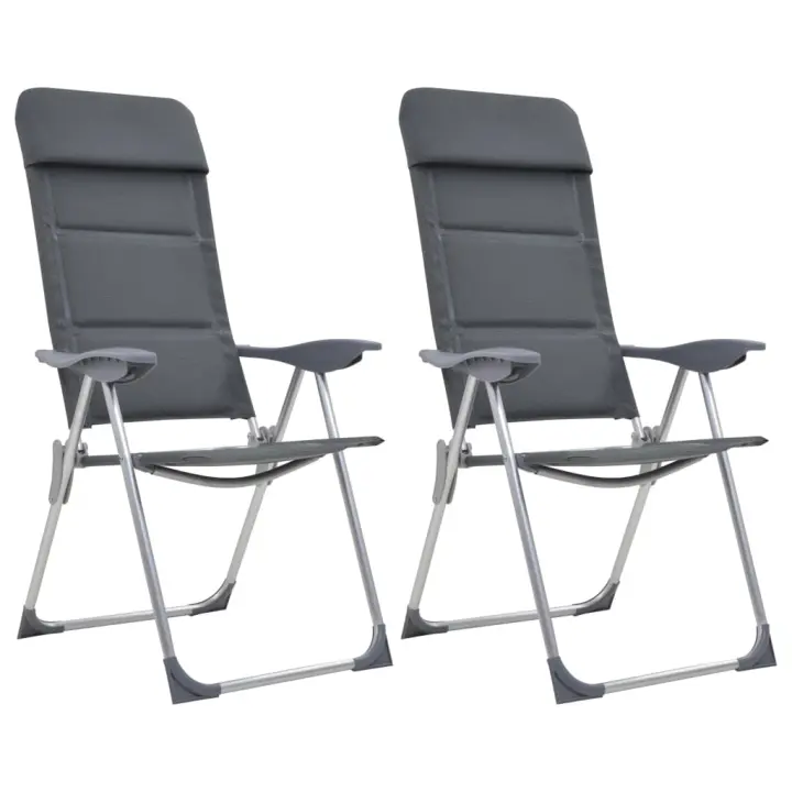 vidaXL 2x Sillas Camping Aluminio 58x69x111cm Asiento Taburete Campamento Color Gris,  Negro, y mas - 1