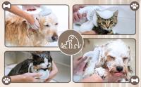 Cepillo De Baño Para Perros 3 En 1 Cepillo De Peluquería Para Mascotas Con Cabeza De Masaje Y Limpieza Suave De Silicona - details 9
