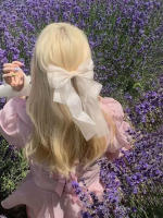 Pinza Para El Cabello De Organza Blanca Con Lazo Flotante Para Mujeres Y Niñas Material De Raya Accesorio De Cabello De Alta Calidad - details 16