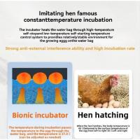 Incubador De Huevos Pequeño Termostático 24 Horas Con Cama De Agua Biomimética Automático Inteligente Para Pollos Pato Ganso - details 1