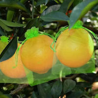 30PCS Bolsas De Protección Para Frutas Como Uvas Control De Plagas Y Pájaros En Jardín Y Huerto Malla De Nylon Para Frutas Y Verduras - details 6